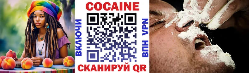 Купить  Оленегорск  Cocaine FishScale 