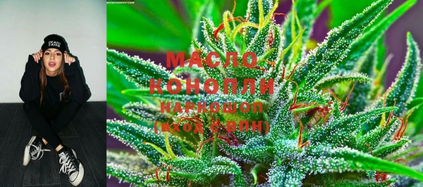 дмт Ессентукская